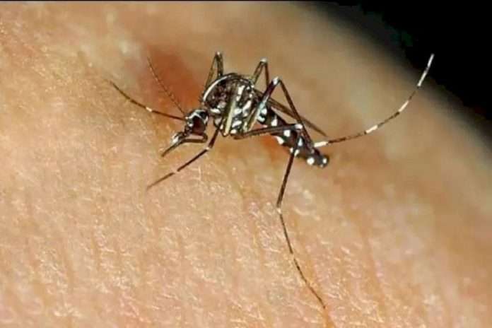 Zika infected woman gives birth to twins in Kanpur