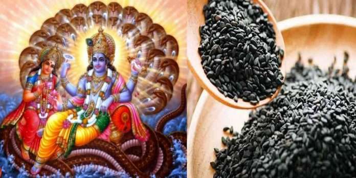Shattila Ekadashi 2022 day is important for happiness and prosperity know the uses of sesame seeds