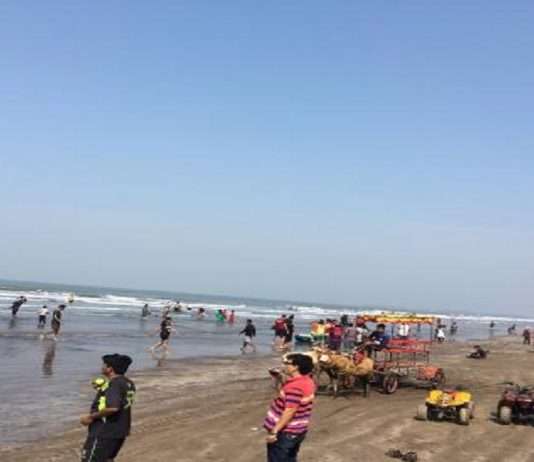 Algae Murud beach Consequences of recruitment with strong winds