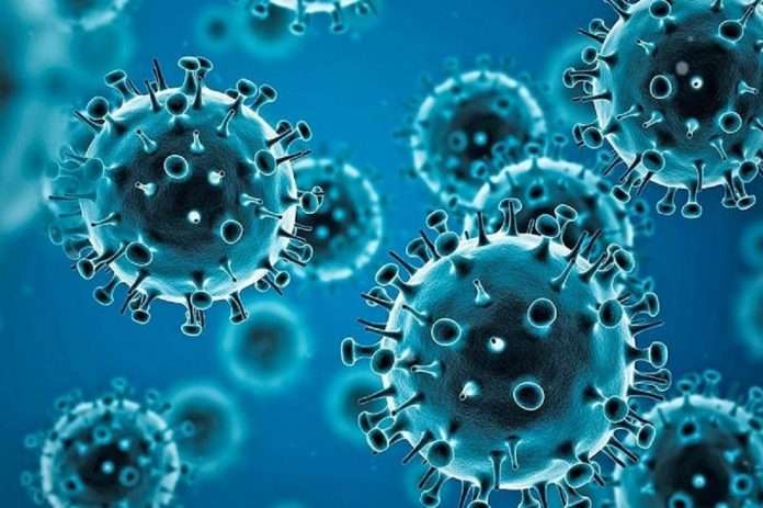 Coronavirus: Third wave of coronavirus peaks in next three weeks; Research by SBI