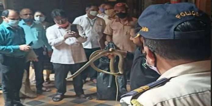 Snake found in chamber of Bombay High Court Justice NR Borkar WATCH