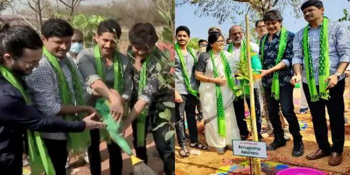 south superstar nagarjuna adopted 1080 acres of forest land for this fans praise nagarjuna on social media