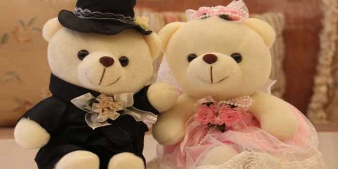 valentines week 2022 teddy day 2022 date why celebrated in valentines week significance and importance of teddy