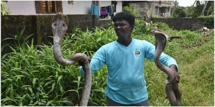 meet vava suresh kerala very own snake man who defeat death