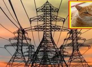 Pimpri Chinchwad Massive power outage leaves 60,000 consumers without electricity in Akurdi and Bhosari