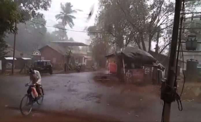 unseasonal heavy rains with strong winds in Sangameshwar Damage to fruit crops including mango and cashew