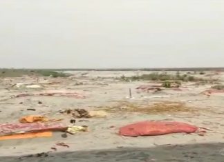 a larges numbers of death bodies are buried in the sand on banks of river ganga in prayagraj