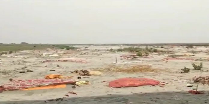 a larges numbers of death bodies are buried in the sand on banks of river ganga in prayagraj
