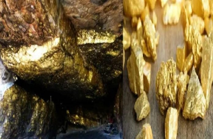 country's largest gold mine discovered in Bihar will begin excavations