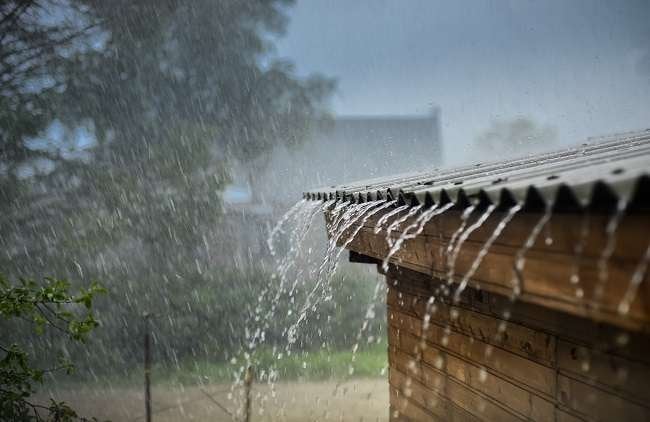 weather alert in next 48 hours heavy rain warning for konkan, pune, central maharashtra
