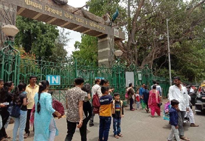 more than three lakh tourists visit Rani Bagh in May bmc earn crores in 25 days