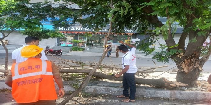 Two injured after falling from tree in Thane