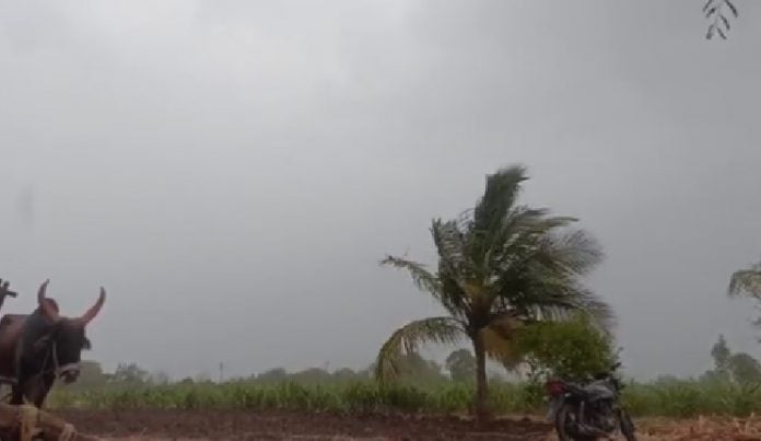 heavy unseasonal rain with strong winds Sindhudurg Baramati