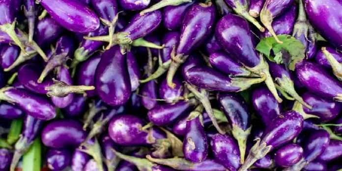 vegetable as high cholesterol lowering food good for heart brinjal onion lady finger beans garlic