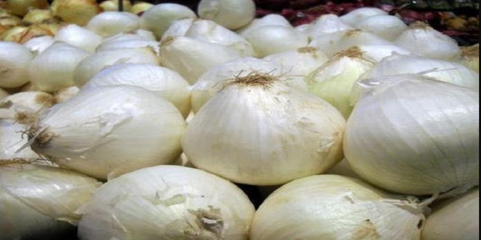 raigad onion news alibaug news geographical classification of quality white onion patient