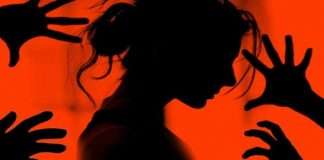palghar crime sexual assault on minor girl by 8 accused at palghar mahim police filed case under posco