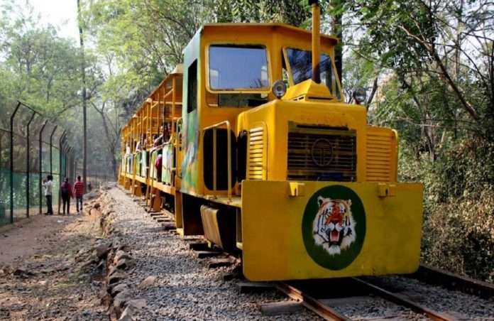 vanrani train will resume in sanjay gandhi national park borivali