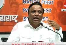 bjp leader ashish shelar reaction on karnataka maharashtra border row karnataka cm Basavaraj bommai statement