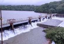 radhanagar dam_kolhapur