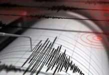 new zealand earthquake magnitude 6 1 hits north west of wellington check details