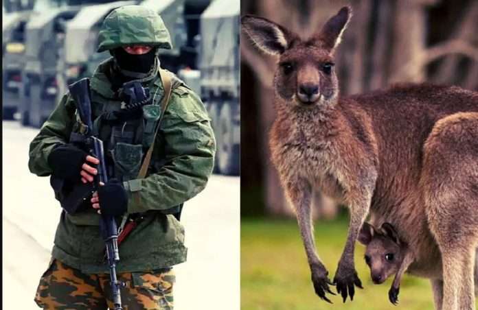 russian soldiers eating zoo animals including kangaroos to survive in ukraine warzone vladimir putin plan