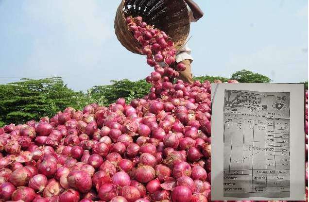 onion farmer