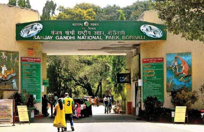Attack on forest personnel in Sanjay Gandhi National Park