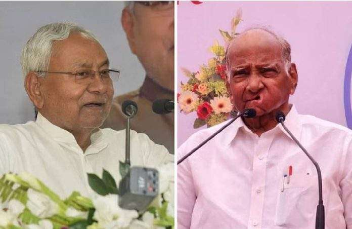 Bihar CM Nitish Kumar said that Sharad Pawar can be faced of the opposition Sharad pawar react
