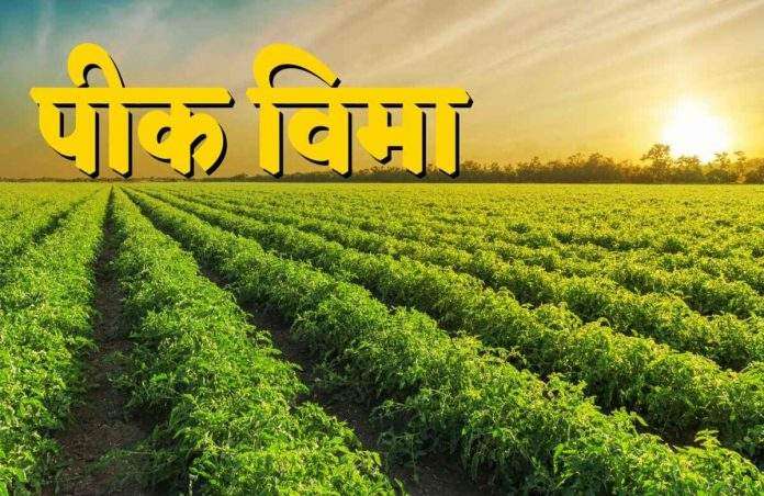 One rupee crop insurance announced by the government, but when will it be implemented?