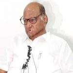 Sharad Pawar explanation of party reconstruction starting from Nashik due to 'this' reason PPK
