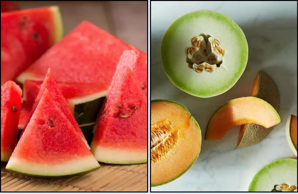 Watermelon Vs Melon : उन्हाळ्यात काय खावं कलिंगड की खरबूज?